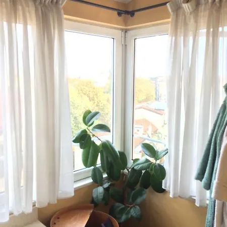 Botanic Garden 9 Floor
